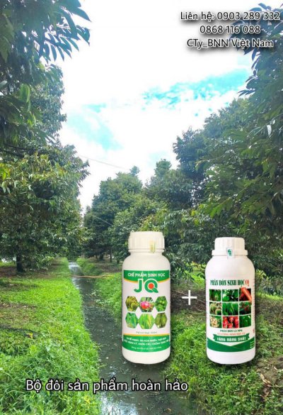 Chế phẩm sinh học 01