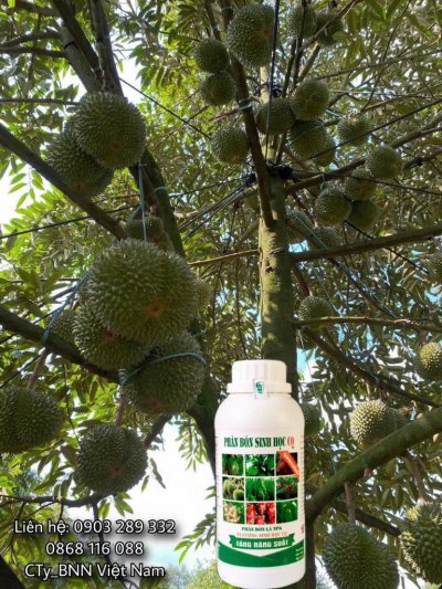 Chế phẩm sinh học 10