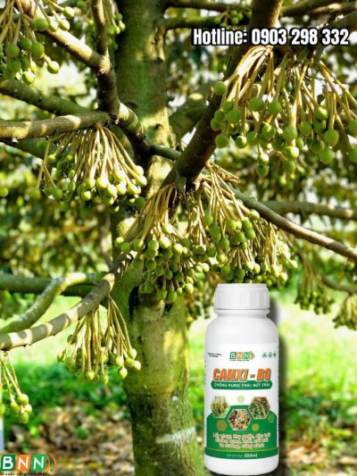 Chế phẩm sinh học 11