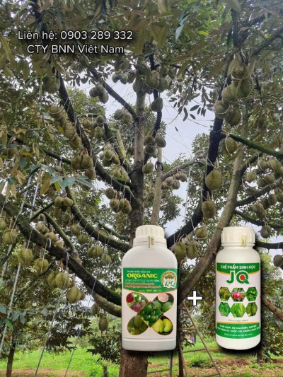 Chế phẩm sinh học 04