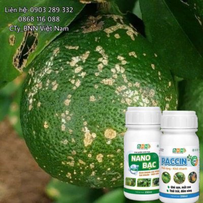 Chế phẩm sinh học 06