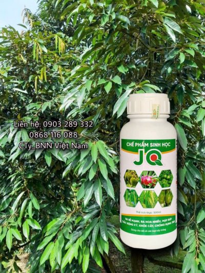 Chế phẩm sinh học 14