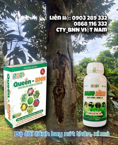 Chế phẩm sinh học 19