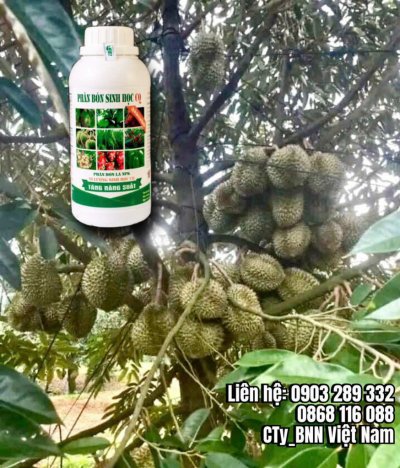 Chế phẩm sinh học 15