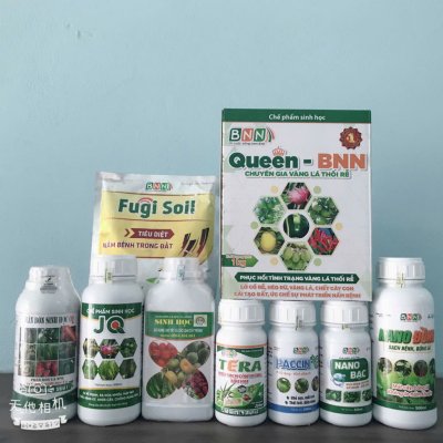 Chế phẩm sinh học - phân bón